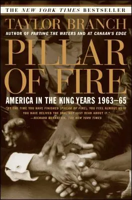 Ohnivý sloup: Amerika v královských letech 1963-65 - Pillar of Fire: America in the King Years 1963-65