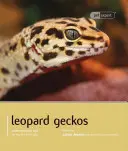 Gekon leopardí - Leopard Gecko