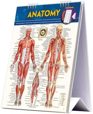 Anatomy Easel Book: Rychlá studijní příručka - Anatomy Easel Book: A Quickstudy Reference Tool
