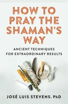 Jak se modlit šamanským způsobem: Jak na to: Starodávné techniky pro mimořádné výsledky - How to Pray the Shaman's Way: Ancient Techniques for Extraordinary Results