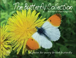 Sbírka motýlů - Butterfly Collection