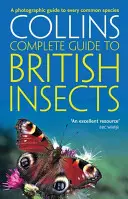 Britský hmyz - fotografický průvodce všemi běžnými druhy - British Insects - A Photographic Guide to Every Common Species