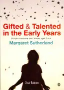 Nadaní a talentovaní v raném věku: Praktické aktivity pro děti od 3 do 6 let - Gifted & Talented in the Early Years: Practical Activities for Children Aged 3 to 6