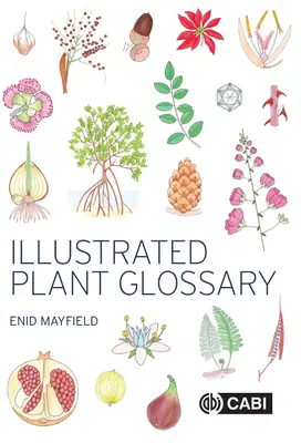 Ilustrovaný slovník rostlin - Illustrated Plant Glossary