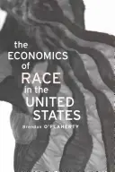 Ekonomika rasy ve Spojených státech - Economics of Race in the United States