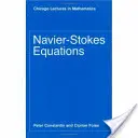 Navier-Stokesovy rovnice - Navier-Stokes Equations