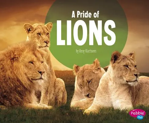 Pýcha lvů - A Pride of Lions