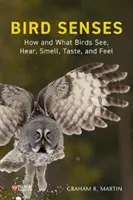 Ptačí smysly: Jak a co ptáci vidí, slyší, cítí, chutnají a cítí? - Bird Senses: How and What Birds See, Hear, Smell, Taste and Feel