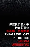 Věci, které jsme ztratili při požáru - Things We Lost in the Fire