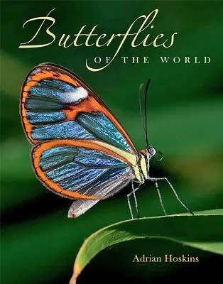 Motýli světa - Butterflies of the World