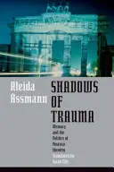 Stíny traumatu: Paměť a politika poválečné identity - Shadows of Trauma: Memory and the Politics of Postwar Identity