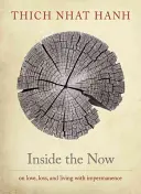 Uvnitř přítomnosti: Meditace nad časem: Základní principy přítomnosti: Meditace nad časem - Inside the Now: Meditations on Time