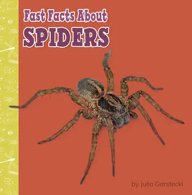 Rychlá fakta o pavoucích - Fast Facts about Spiders