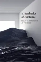 Anestetika existence: Eseje o zkušenostech na okraji - Anaesthetics of Existence: Essays on Experience at the Edge