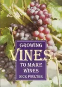 Pěstování vinné révy na výrobu vína - Growing Vines to Make Wines
