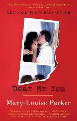 Vážený pane Vy - Dear Mr. You
