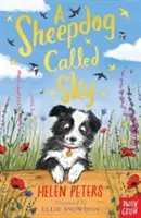 Ovčácký pes jménem Sky - Sheepdog Called Sky
