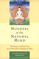 Zázraky přirozené mysli: Podstata dzogčhenu v původní tradici tibetského bonu - Wonders of the Natural Mind: The Essense of Dzogchen in the Native Bon Tradition of Tibet