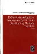 Přijetí elektronických služeb: Procesy firem v rozvojových zemích - E-Services Adoption: Processes by Firms in Developing Nations
