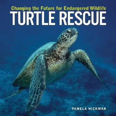 Záchrana želv: Změna budoucnosti ohrožených volně žijících živočichů - Turtle Rescue: Changing the Future for Endangered Wildlife