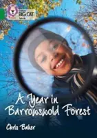 Collins Big Cat - A Year in Barrowswold Forest: Band 15/Emerald