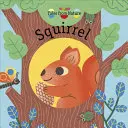 Veverka - Squirrel