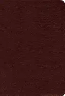 Amplified Bible-Am-Large Print (Zvětšená Bible): Bible ve velkém rozlišení: zachycuje plný význam řeckého a hebrejského originálu - Amplified Bible-Am-Large Print: Captures the Full Meaning Behind the Original Greek and Hebrew