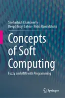 Koncepty soft computingu: Fuzzy a Ann s programováním - Concepts of Soft Computing: Fuzzy and Ann with Programming
