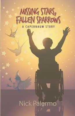 Chybějící hvězdy, padlí vrabci - Missing Stars, Fallen Sparrows