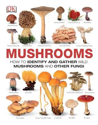Houby: Jak určovat a sbírat divoké houby a další houby - Mushrooms: How to Identify and Gather Wild Mushrooms and Other Fungi