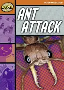 Rychlé čtení: Mravenčí útok (etapa 4, úroveň 4B) - Rapid Reading: Ant Attack (Stage 4, Level 4B)