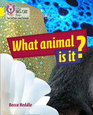 Co je to za zvíře? - Kapela 03/Žlutá - What Animal is It? - Band 03/Yellow