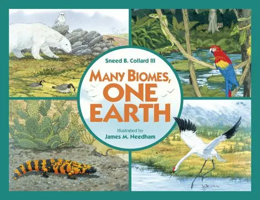 Mnoho biomů, jedna Země Obchodní kniha - Many Biomes, One Earth Trade Book