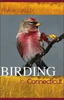 Ptáci v Connecticutu - Birding in Connecticut