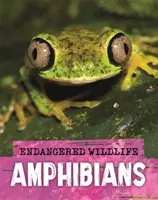 Ohrožená divoká příroda: Záchrana obojživelníků - Endangered Wildlife: Rescuing Amphibians