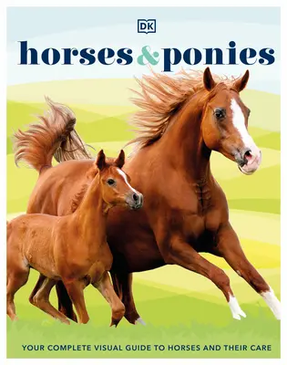 Koně a poníci - Horses & Ponies