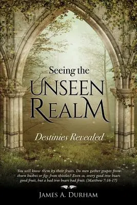Vidět neviditelnou říši - Seeing the Unseen Realm