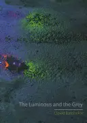 Světlý a šedý - The Luminous and the Grey