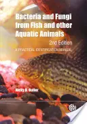 Bakterie a houby ryb a jiných vodních živočichů: Praktická identifikační příručka - Bacteria and Fungi from Fish and Other Aquatic Animals: A Practical Identification Manual