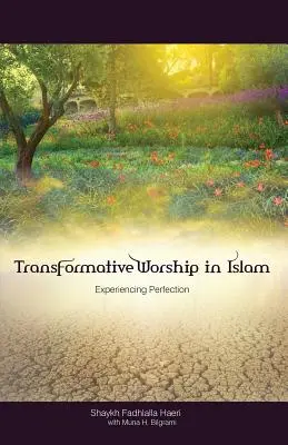 Transformativní uctívání v islámu: Prožívání dokonalosti - Transformative Worship in Islam: Experiencing Perfection