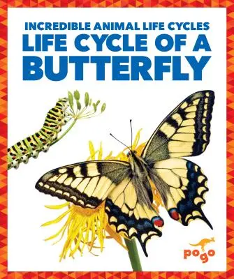 Životní cyklus motýla - Life Cycle of a Butterfly