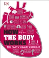 Jak funguje tělo - Fakta jednoduše vysvětlená - How the Body Works - The Facts Simply Explained
