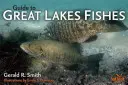 Průvodce rybami Velkých jezer - Guide to Great Lakes Fishes