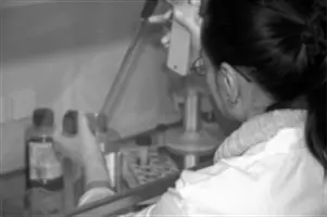 Biokapitál: Konstituce postgenomického života - Biocapital: The Constitution of Postgenomic Life