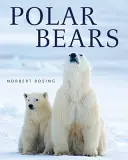 Lední medvědi - Polar Bears