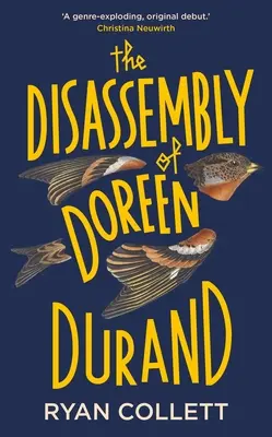 Rozbor Doreen Durandové - Disassembly of Doreen Durand