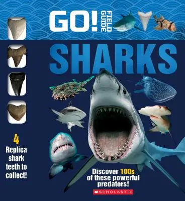 Do toho! Průvodce terénem: Žraloci - Go! Field Guide: Sharks