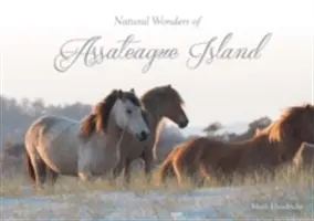 Přírodní divy ostrova Assateague - Natural Wonders of Assateague Island