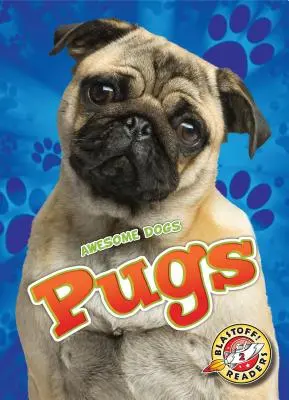 Mopslíci - Pugs