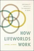 Jak fungují životní světy: Emocionalita, sociálnost a nejednoznačnost bytí. - How Lifeworlds Work: Emotionality, Sociality, and the Ambiguity of Being